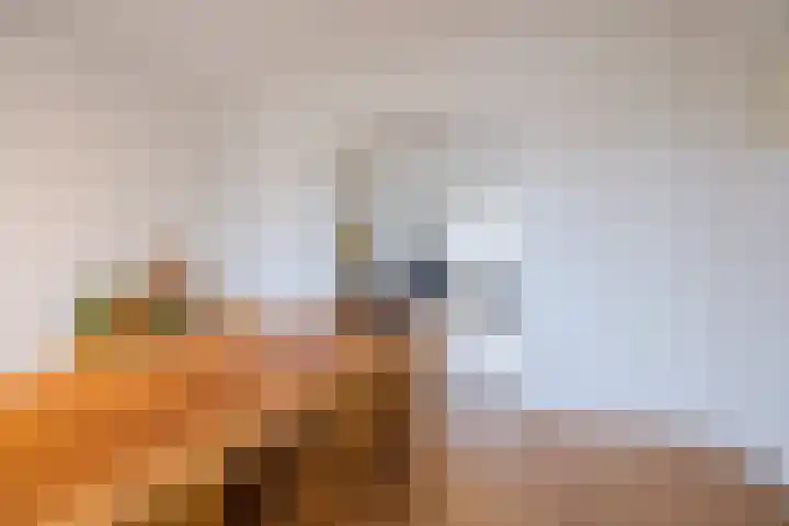 Oranjelaan 51 Bodegraven thumbnail 27