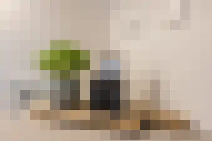 Oranjelaan 51 Bodegraven thumbnail 31