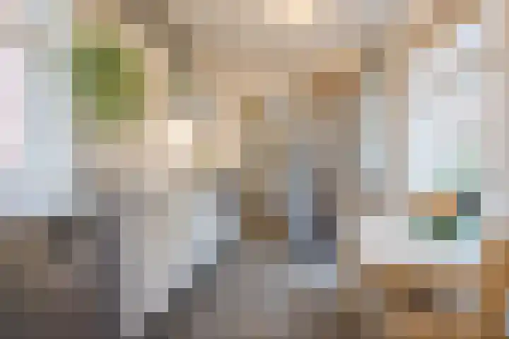Oranjelaan 51 Bodegraven thumbnail 32