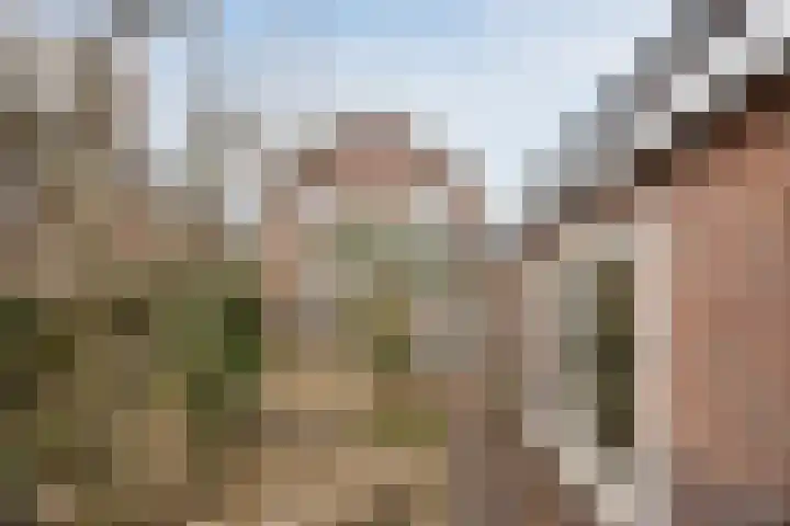 Oranjelaan 51 Bodegraven thumbnail 35