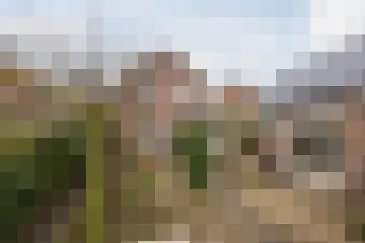 Oranjelaan 51 Bodegraven thumbnail 59