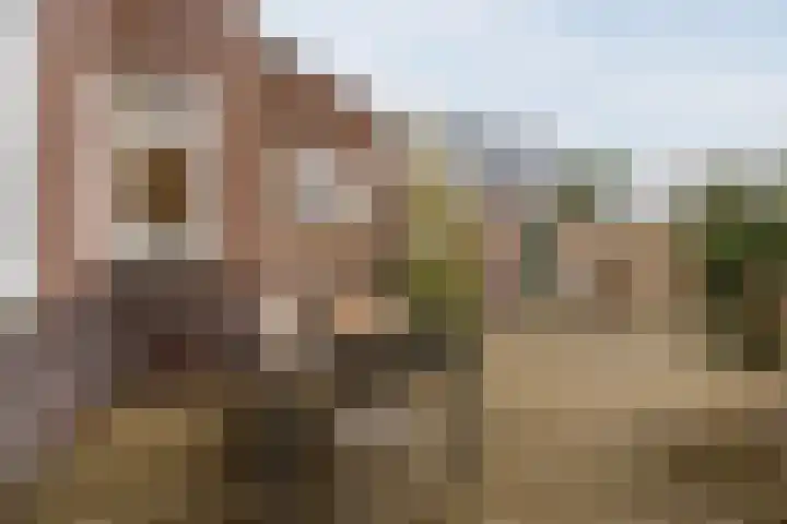Oranjelaan 51 Bodegraven thumbnail 60