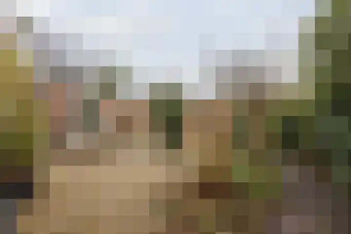 Oranjelaan 51 Bodegraven thumbnail 62