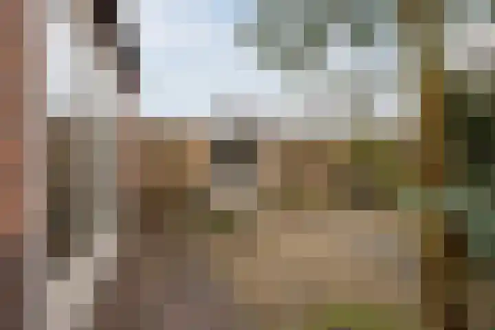 Oranjelaan 51 Bodegraven thumbnail 66