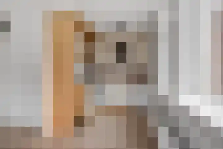 Oranjepad 2 Sneek thumbnail 11