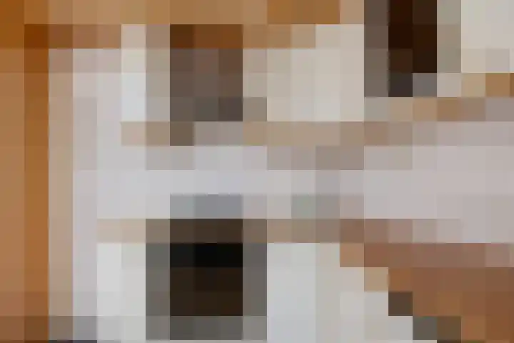 Oranjepad 2 Sneek thumbnail 13