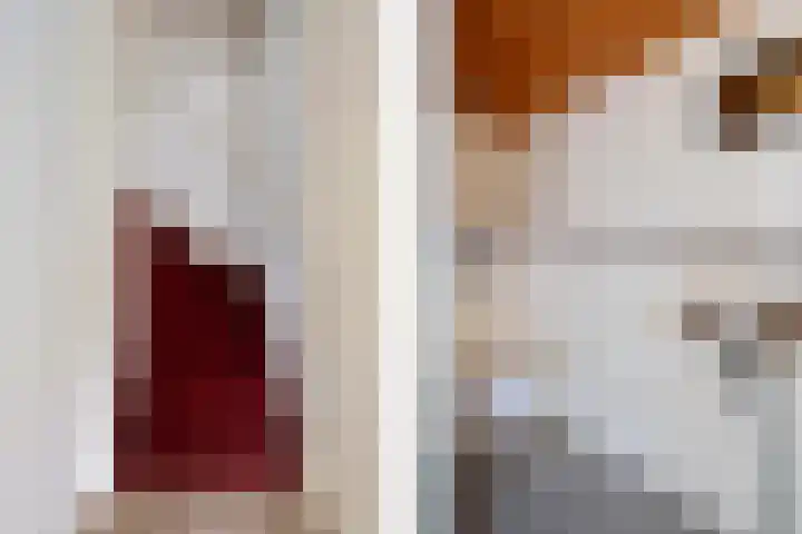Oranjepad 2 Sneek thumbnail 17