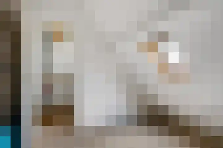 Oranjepad 2 Sneek thumbnail 28