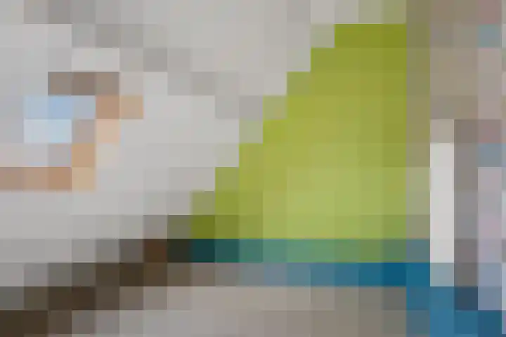 Oranjepad 2 Sneek thumbnail 29