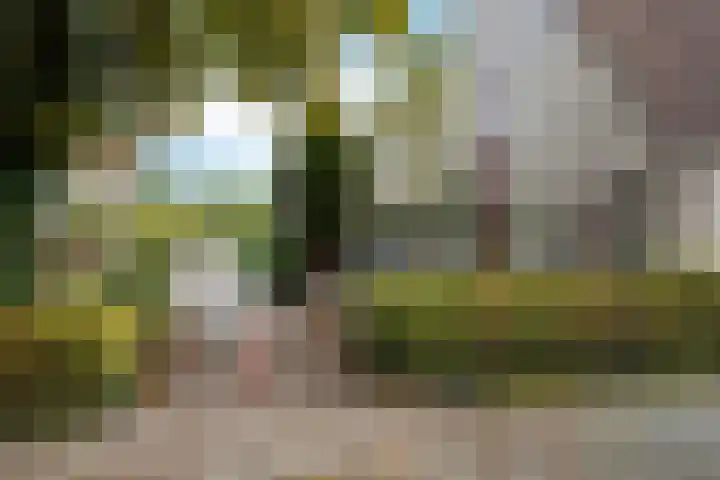 Oranjepad 2 Sneek thumbnail 34