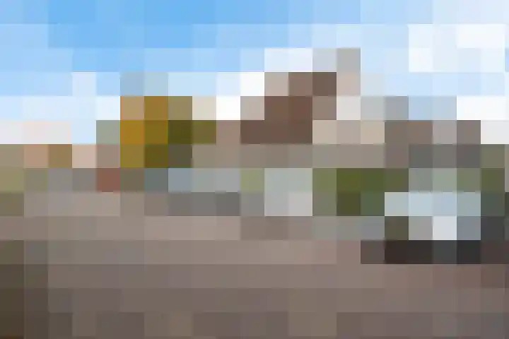 Oranjepad 2 Sneek thumbnail 36