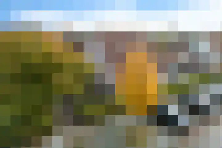Oranjepad 2 Sneek thumbnail 38