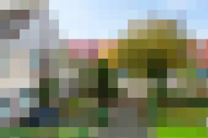 Oranjepad 2 Sneek thumbnail 39