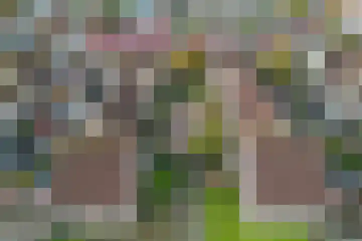 Oranjepad 2 Sneek thumbnail 40