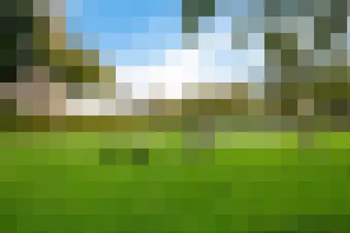 Oranjepad 2 Sneek thumbnail 41
