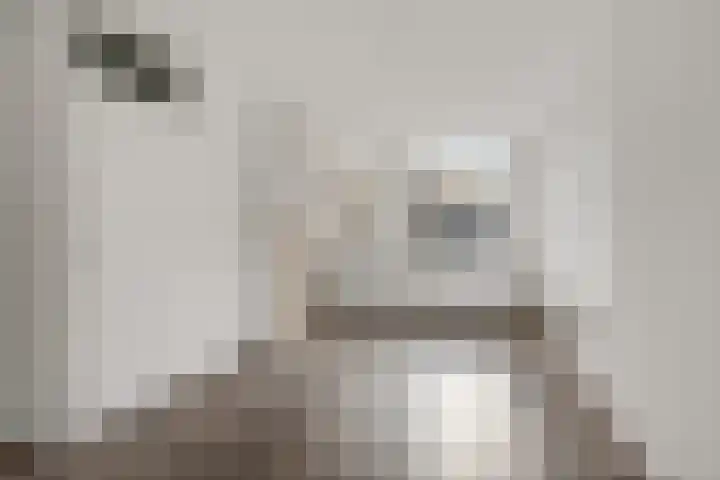 Oranjepad 2 Sneek thumbnail 6