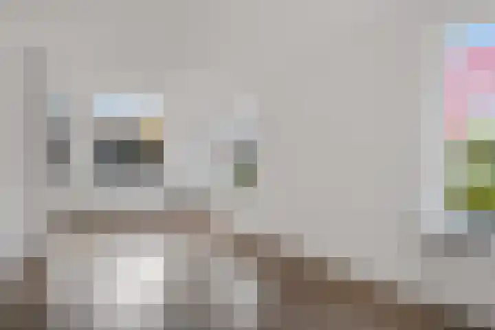 Oranjepad 2 Sneek thumbnail 8