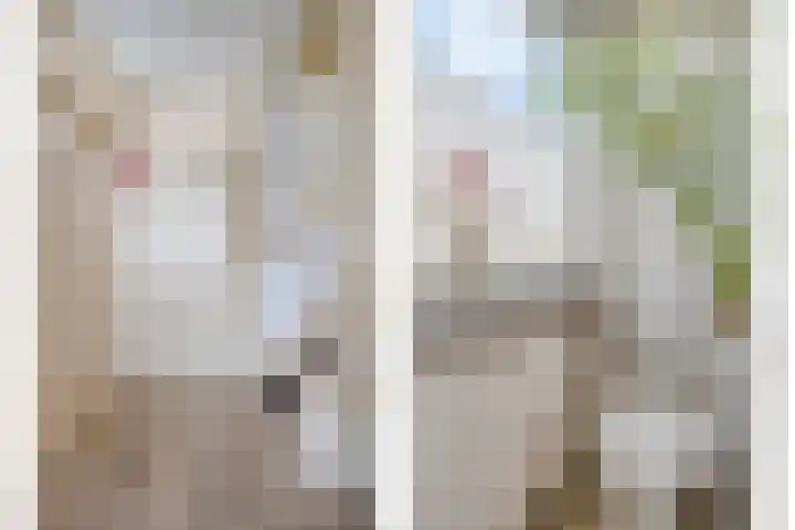 Oranjepad 20 Goes thumbnail 17