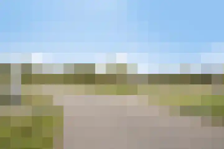 Oranjepad 20 Goes thumbnail 38