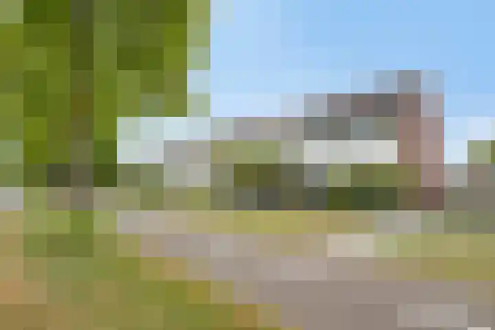 Oranjepad 20 Goes thumbnail 42