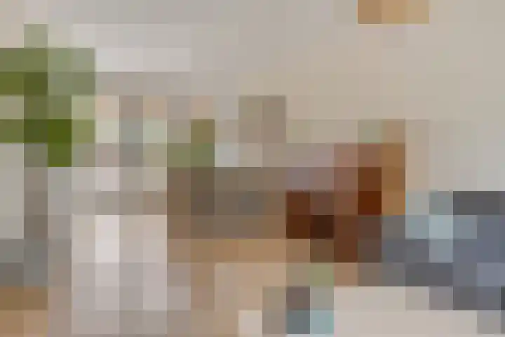 Oranjepad 20 Goes thumbnail 9
