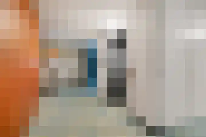 Oranjeplein 21 Goirle thumbnail 26