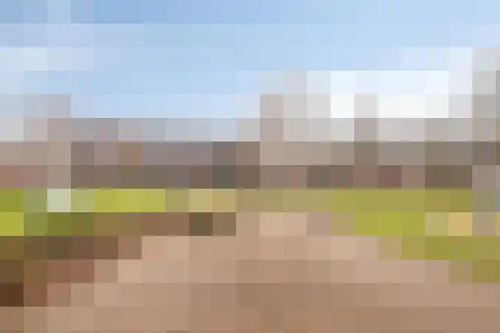 Oranjeplein 21 Goirle thumbnail 33