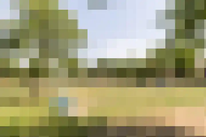 Oranjeplein 38 Goirle thumbnail 31