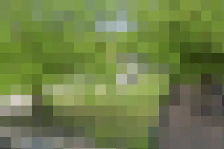 Oranjeplein 96 Den Haag thumbnail 21