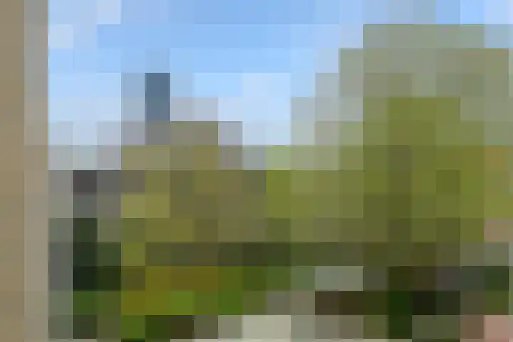 Oranjeplein 96 Den Haag thumbnail 38