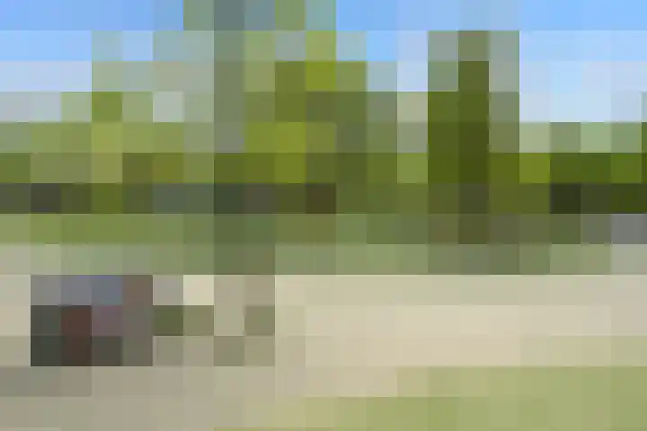 Oranjeplein 96 Den Haag thumbnail 42