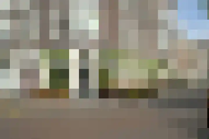 Oranjeplein 96 Den Haag thumbnail 45
