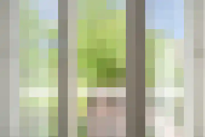 Oranjeplein 96 Den Haag thumbnail 5