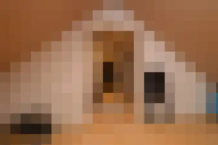 Oranjestraat 4 Deurne thumbnail 21