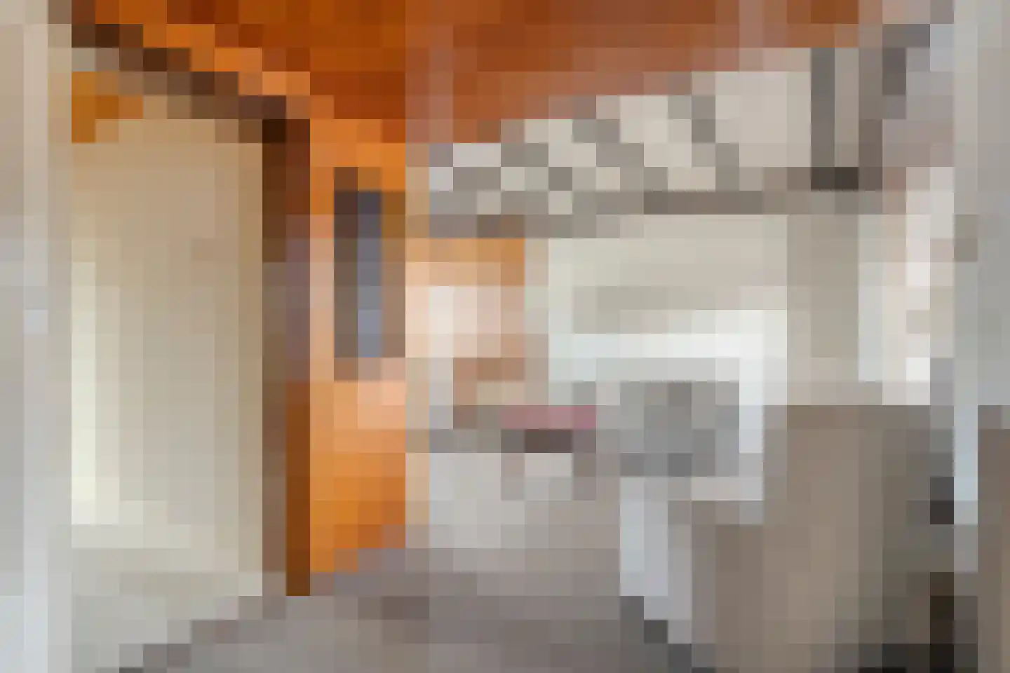 Oranjestraat 9 in Vroomshoop