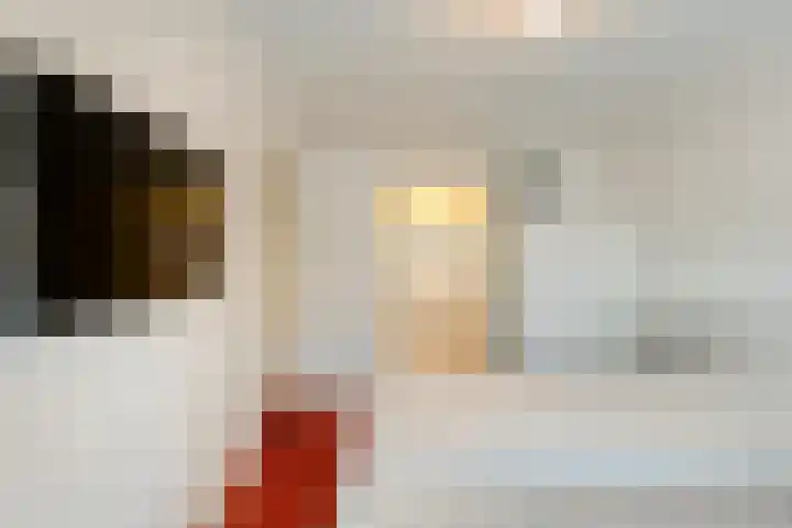 Oranjestraat 9 Smilde thumbnail 19