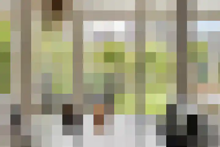 Orchidee 27 Haaksbergen thumbnail 13