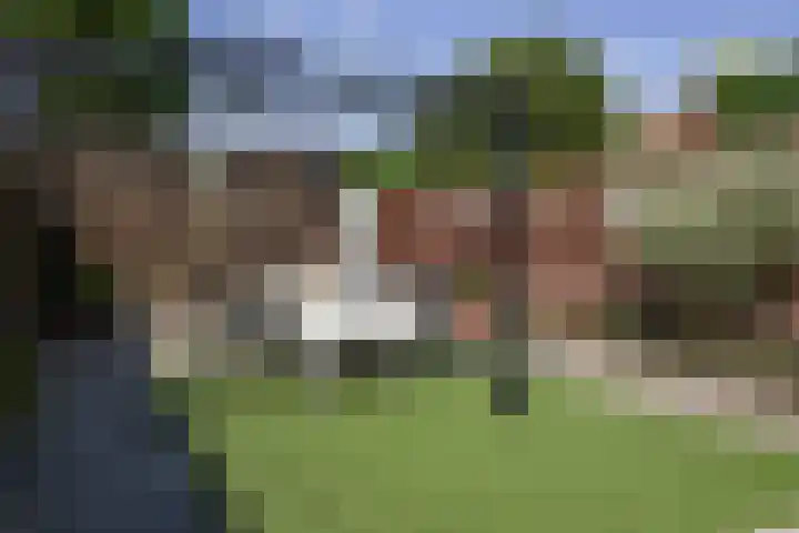 Orchideeënstraat 28 Eindhoven thumbnail 21
