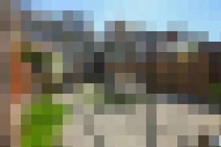 Orchideeënstraat 28 Eindhoven thumbnail 24