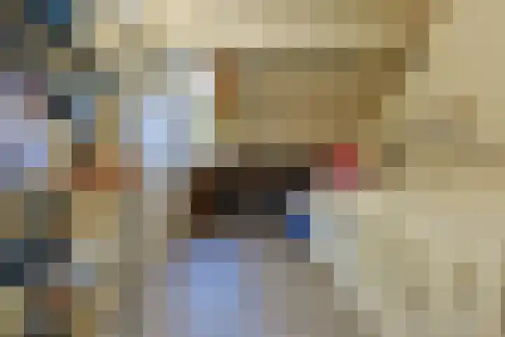 Orchideeënstraat 28 Eindhoven thumbnail 37