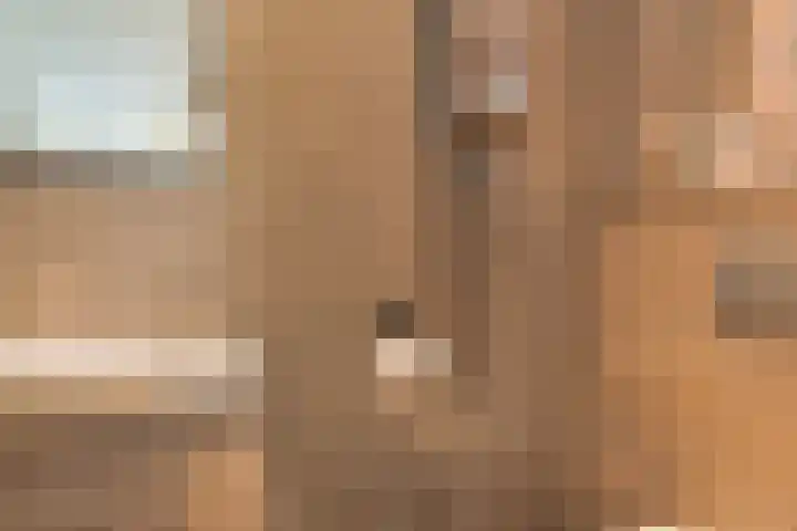 Orchideeënstraat 28 Eindhoven thumbnail 6