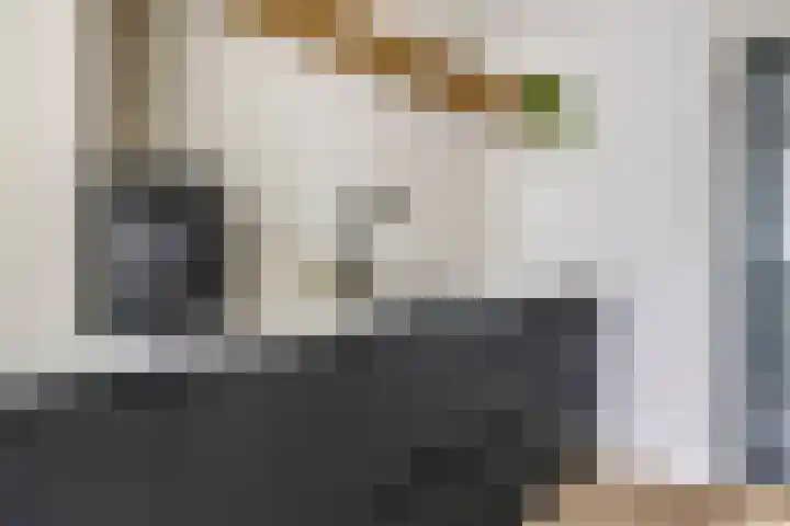 Orchideestraat 9 Herveld thumbnail 14