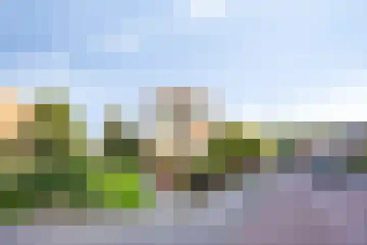 Orchislaan 12 3 Arnhem thumbnail 21
