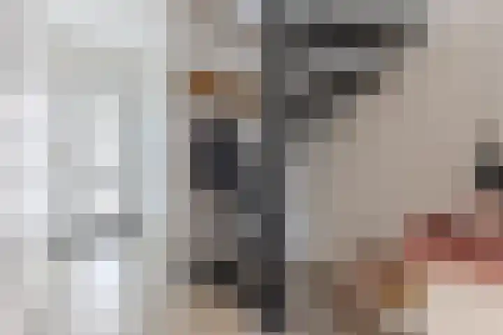 Orchisstraat 17 Wormer thumbnail 16