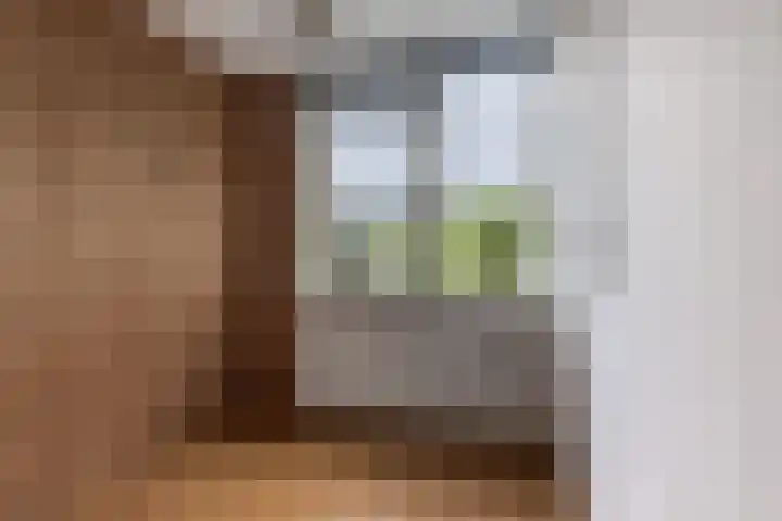 Orchisstraat 31 Wormer thumbnail 19