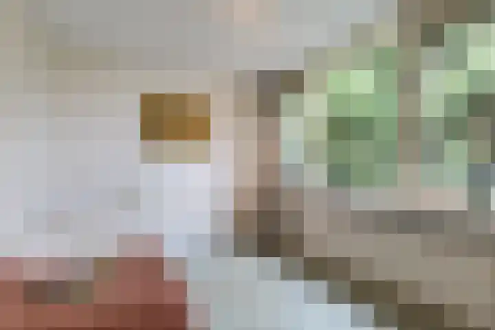 Orchisstraat 31 Wormer thumbnail 21