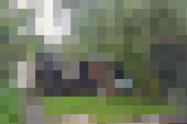 Orchisstraat 31 Wormer thumbnail 32