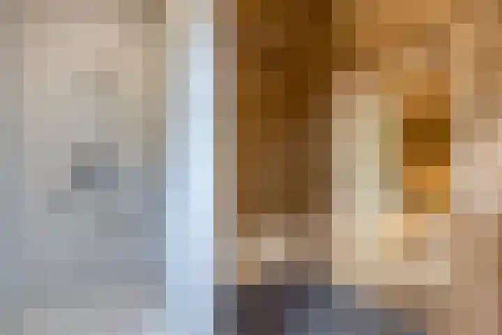 Orchisstraat 31 Wormer thumbnail 38