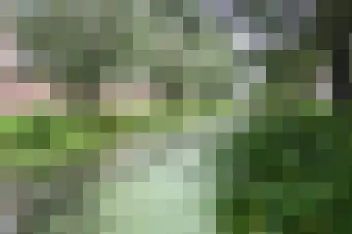 Orchisstraat 31 Wormer thumbnail 40