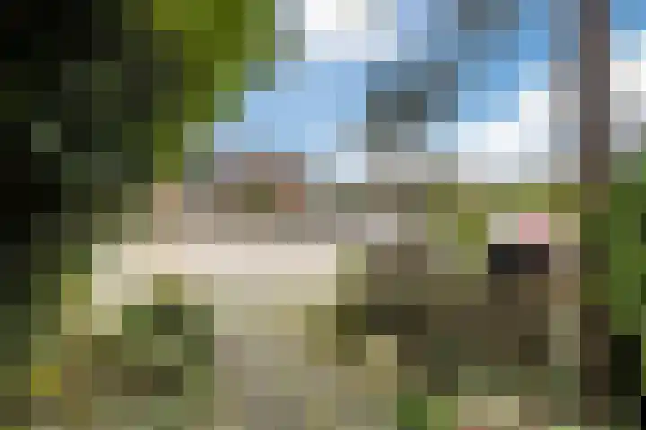 Orchisstraat 31 Wormer thumbnail 7
